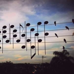 Meet your Posher, Naava